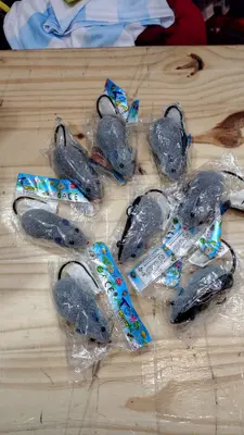 Ratitas con rueditas