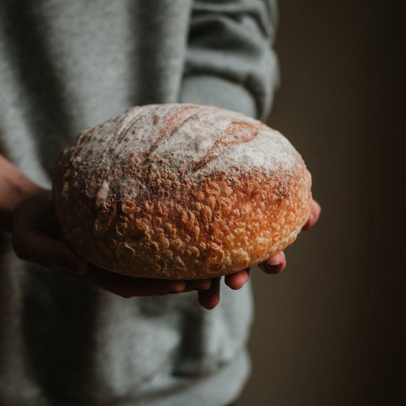 Sourdough Loaf