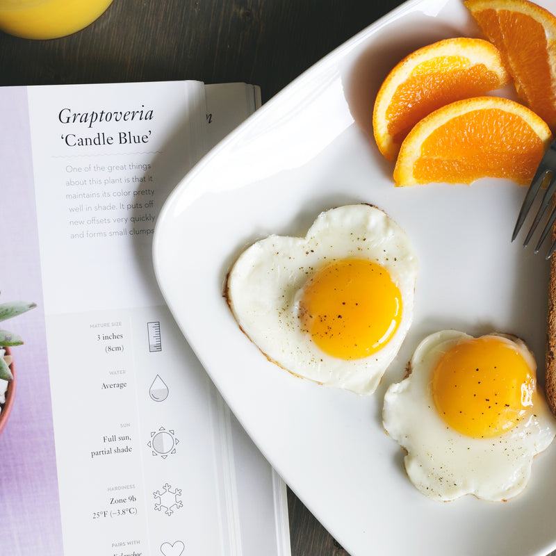 Eggs on Toast