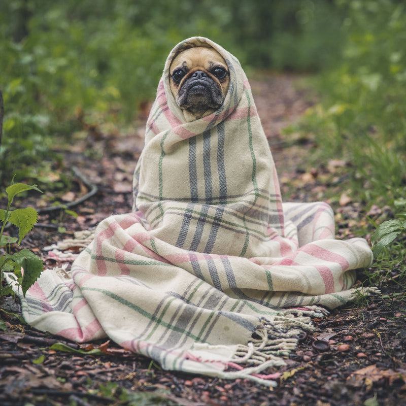 Fleece Pet Blanket