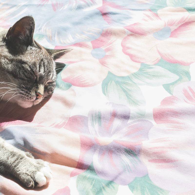 Cat Comfort Mat