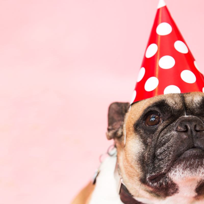 Party Hat (set of 2)